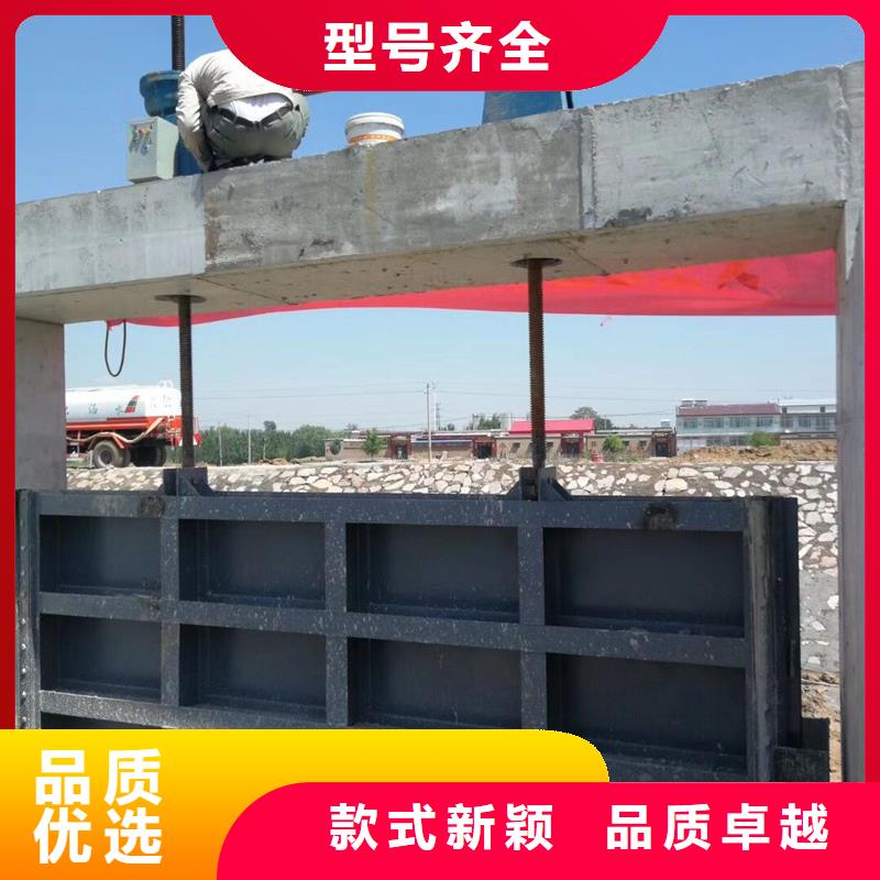 贺州景观钢坝 钢制平面闸门精工细作 质量保证