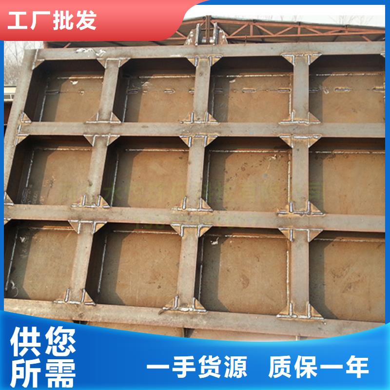 南京钢坝闸门 滑动式钢制闸门生产商