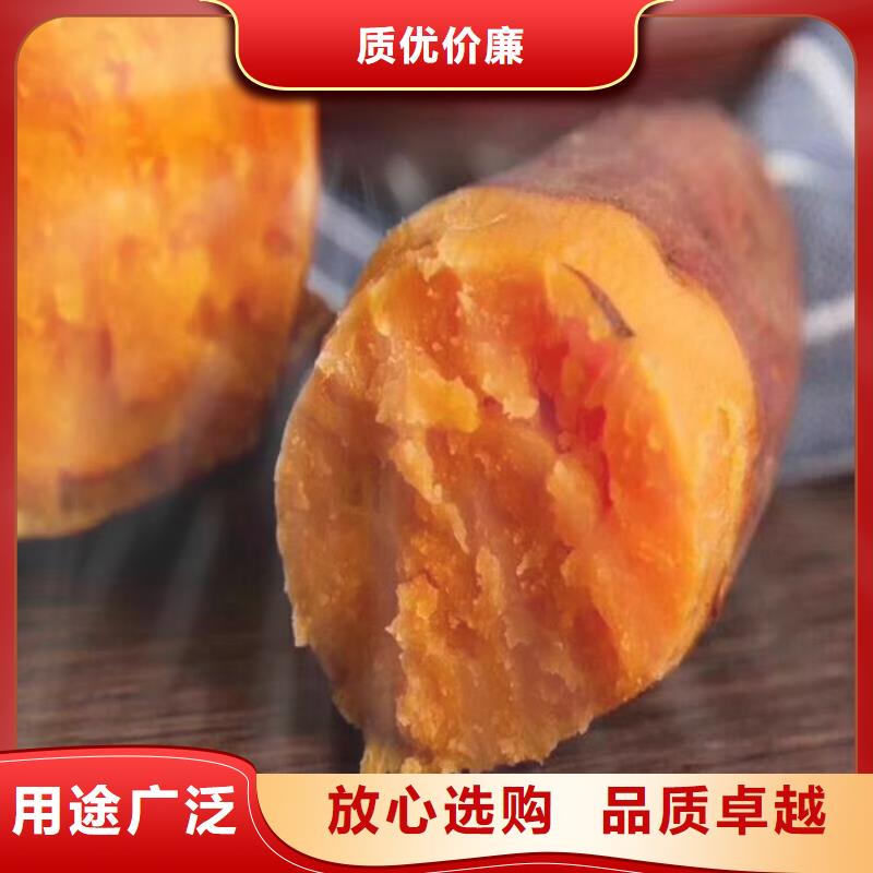 浙江省杭州紫薯种子能吃吗