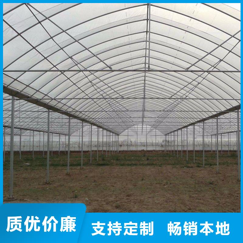 宁阳县1.5寸*2.75镀锌带钢管种植基地本地公司