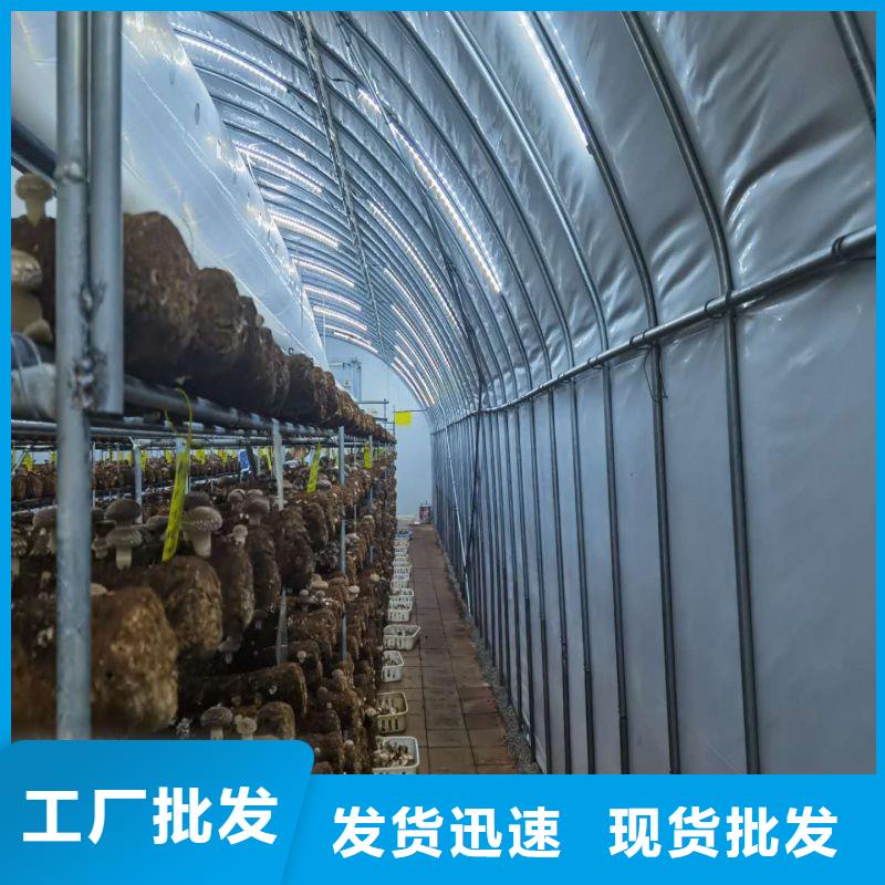 香洲温室大棚生产厂家层层质检