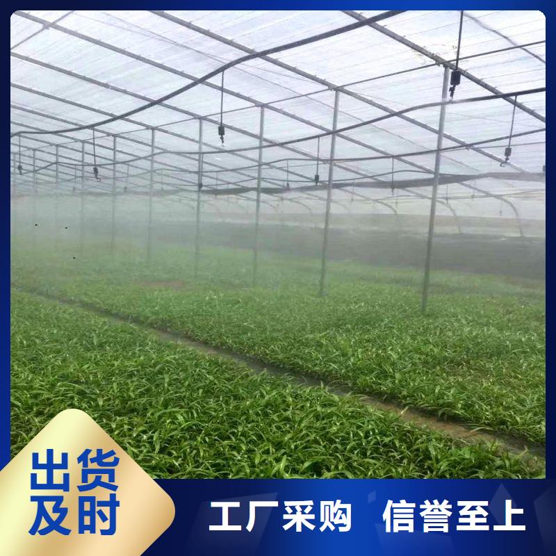 广西柳州柳南区带外遮阳镀锌大棚管感兴趣