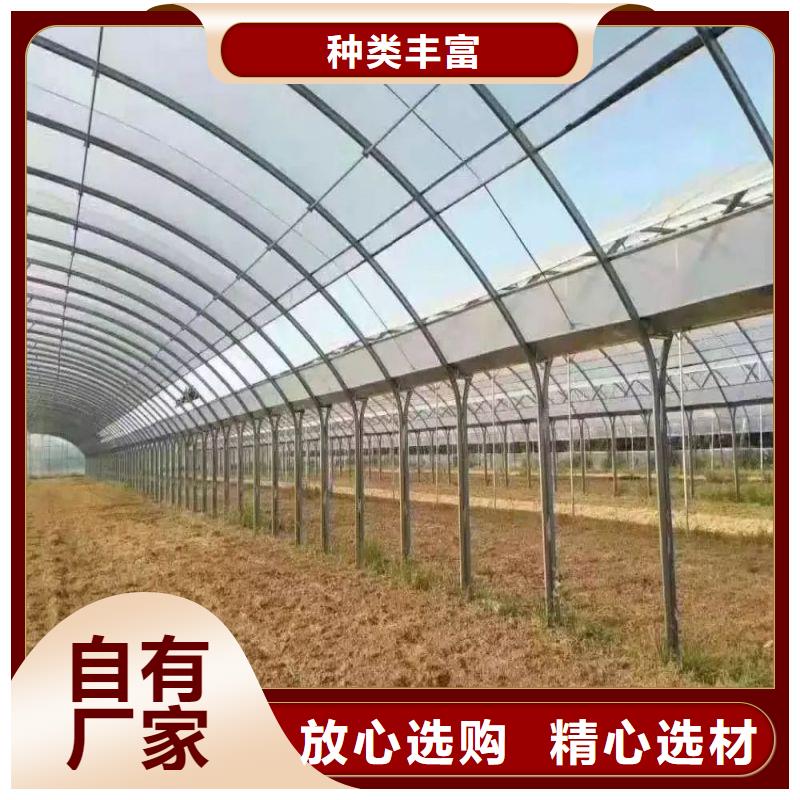 江西省萍乡芦溪种植单体大棚实力厂家