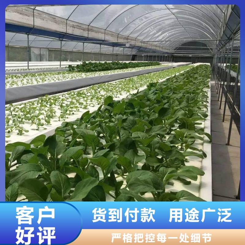 河南郑州二七区玻璃智能温室设计