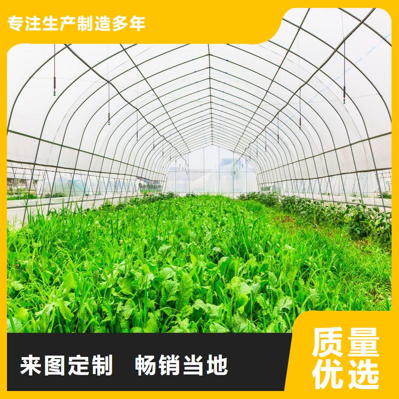 昌乐县热镀锌连体蔬菜大棚管,怎么样专业的生产厂家