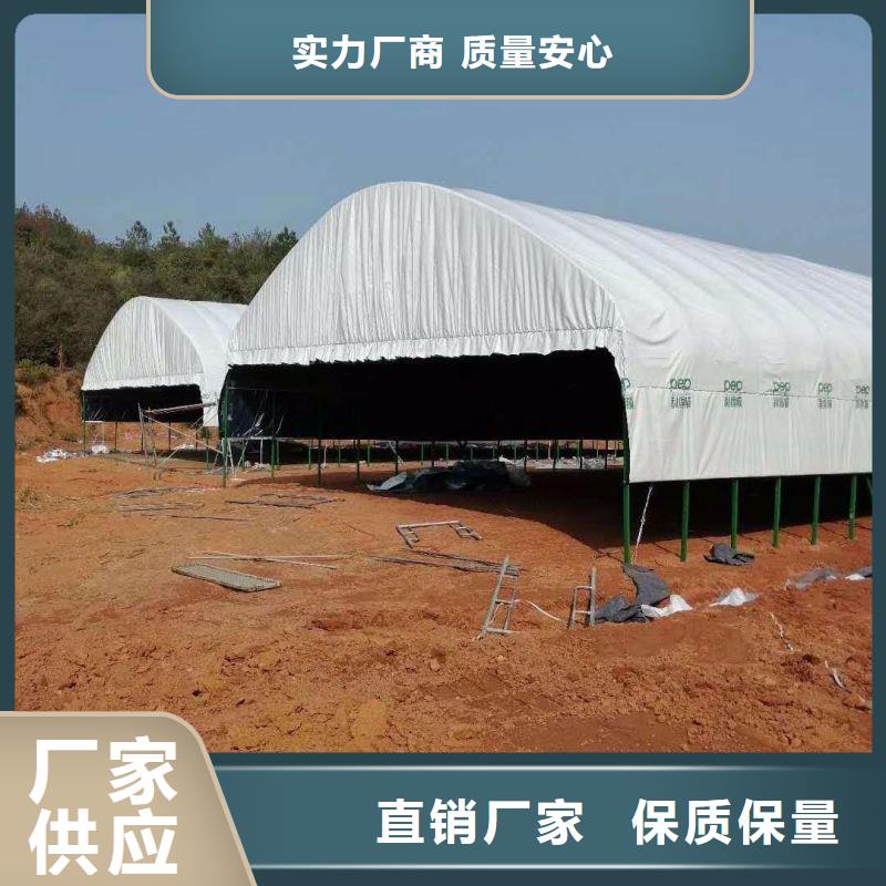 静宁县GP825GP622蔬菜大棚钢架购买当地品牌