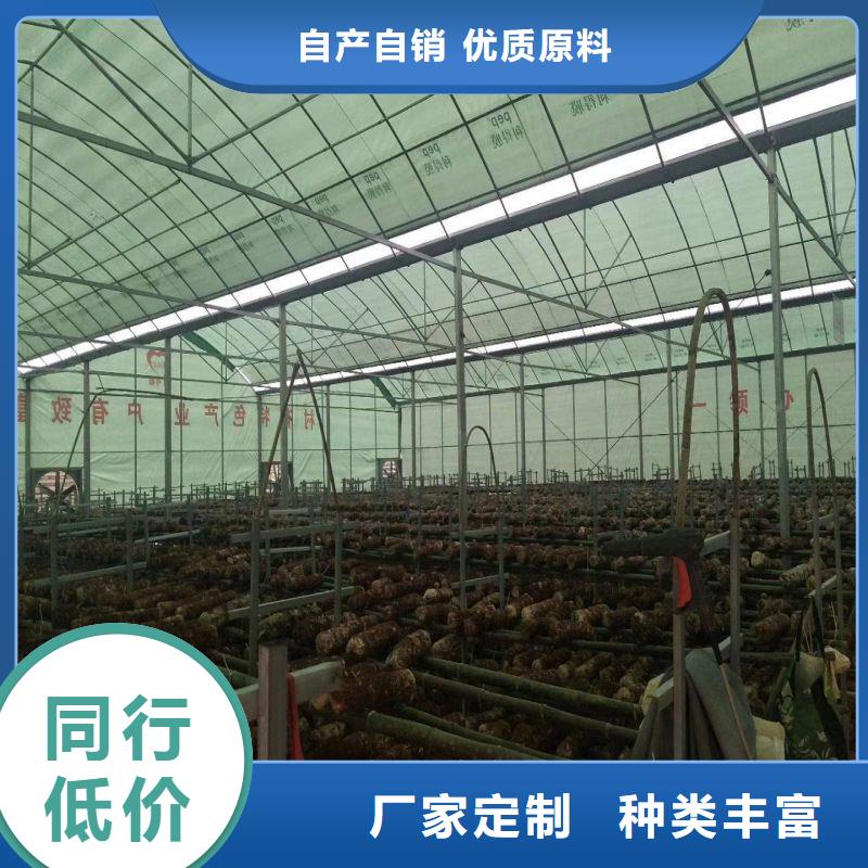 广东省广州市荔湾区温室水培系统怎么卖