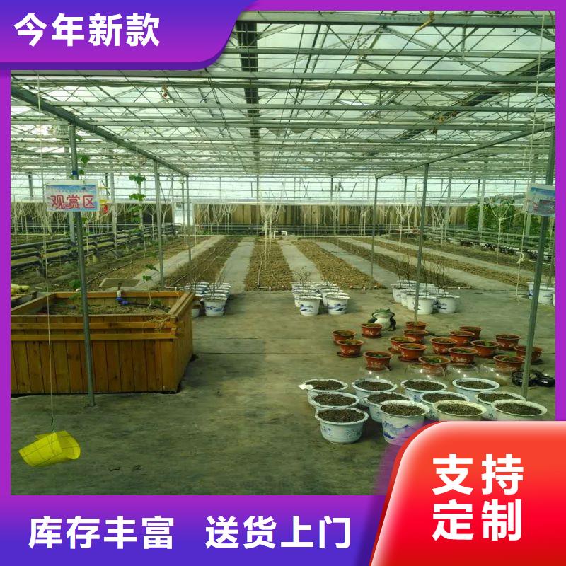 江苏扬州江都市玻璃智能温室性价比高