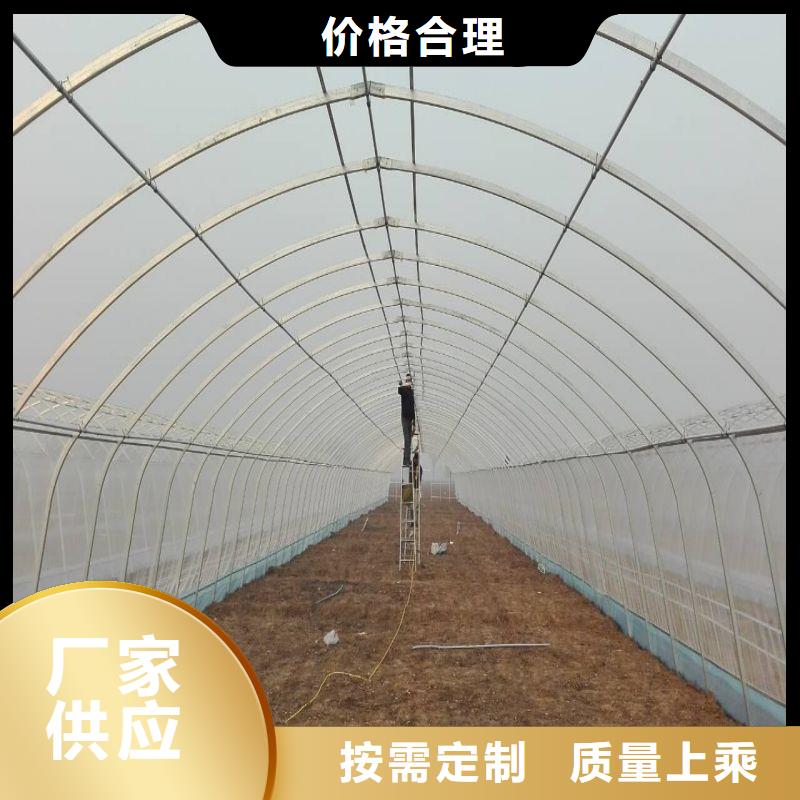 富民县蔬菜大棚怎么买当地生产厂家