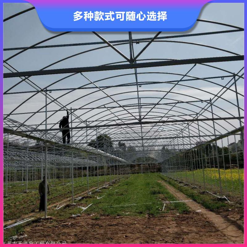 平遥县温室水培系统有兴趣本地服务商