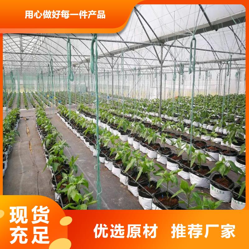 河南洛阳孟津县蔬菜连体温室大棚管 怎么买