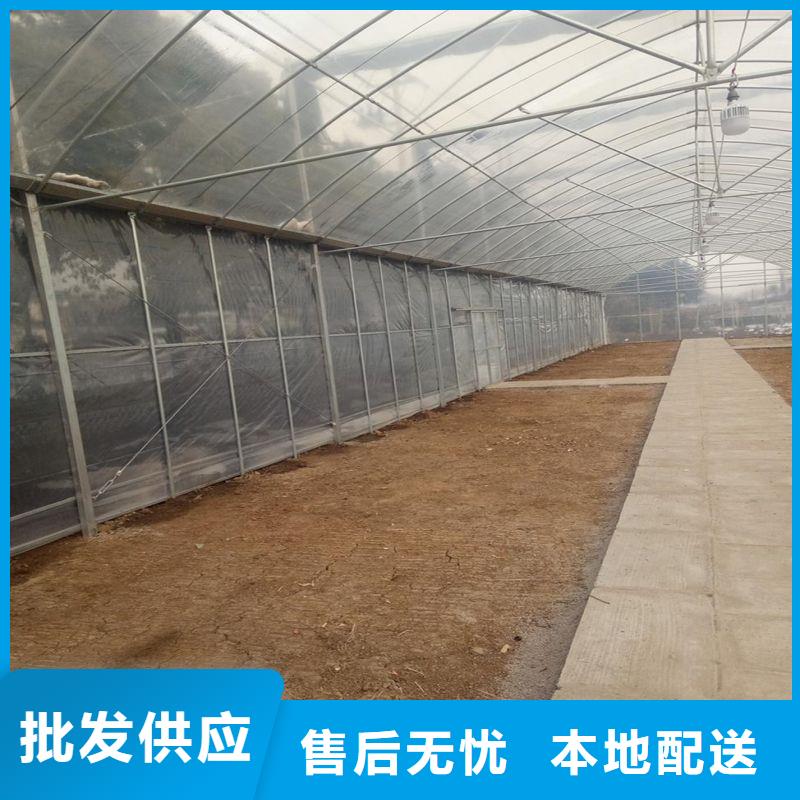 台安县大棚养殖用户售卖快速生产