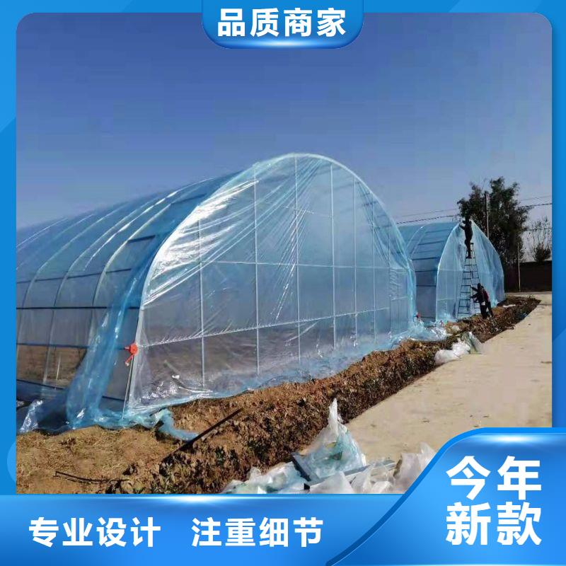 宁阳县蔬菜连体温室大棚管哪里便宜产品实拍