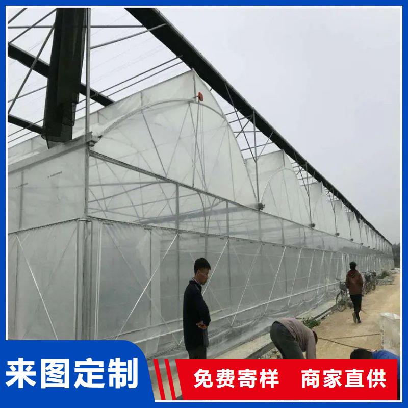 昂仁县单体温室询问报价本地厂家