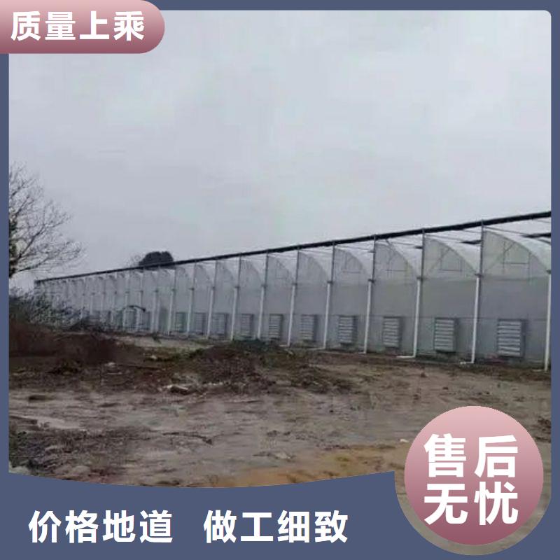 华宁县连体温室大棚钢管实体厂家不断创新