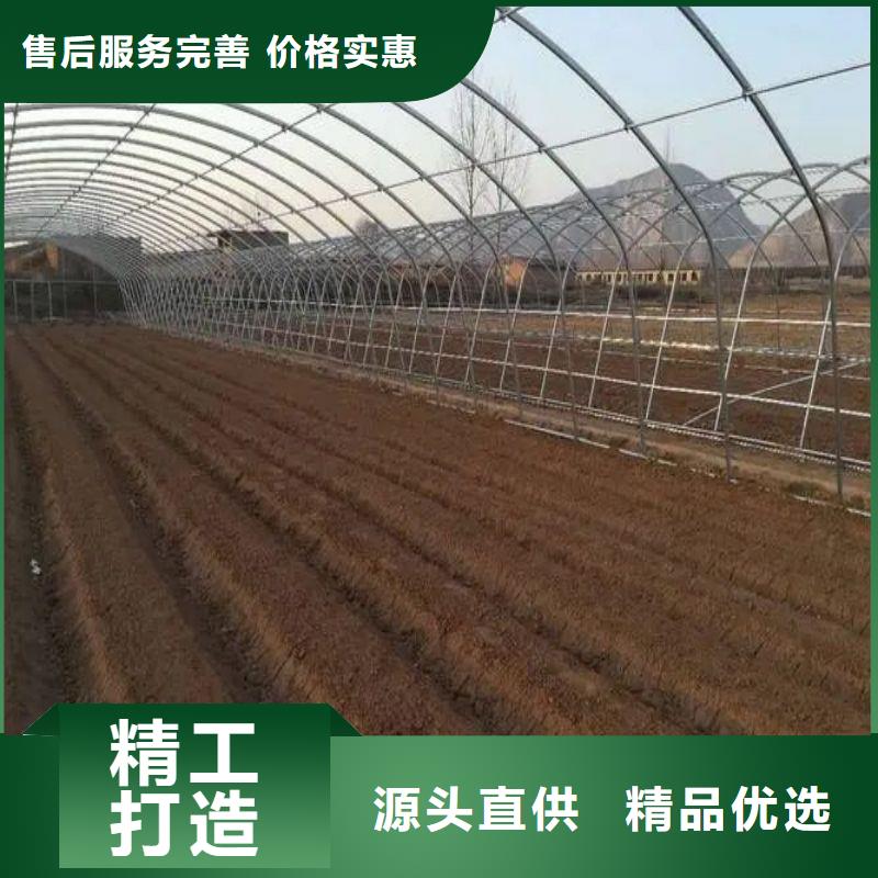 云南省红河市开远市蔬菜连栋大棚钢管多少钱
