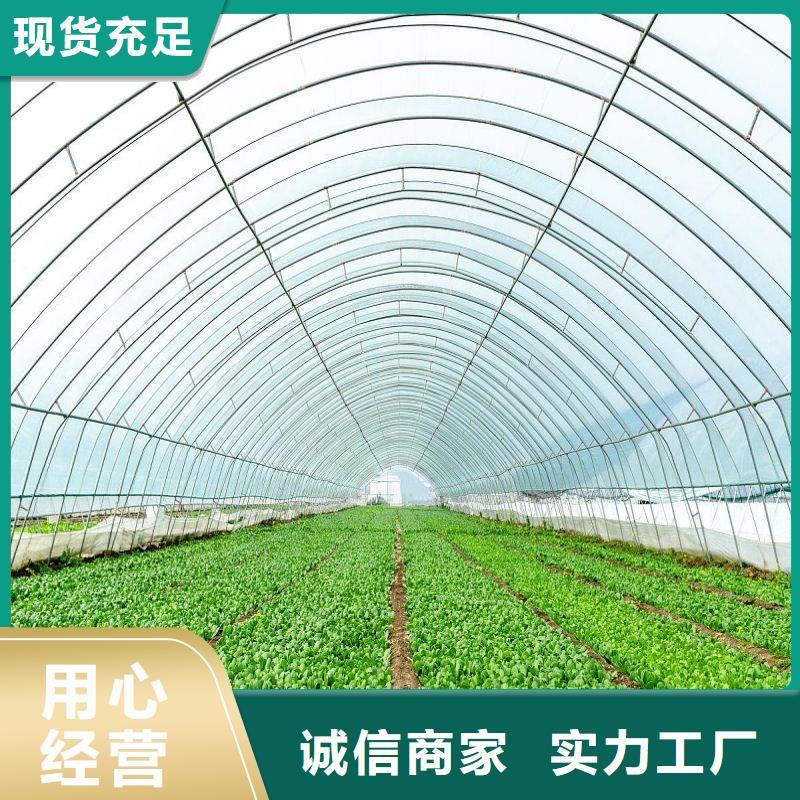 大田县单体温室喜欢品质保障售后无忧