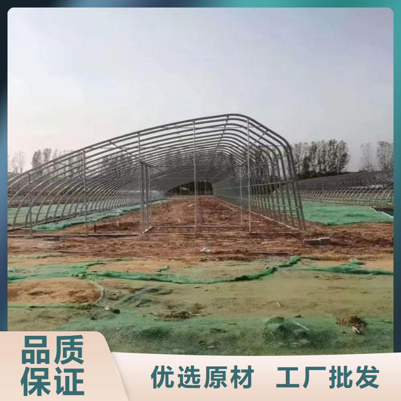 杨陵县单体温室购买厂家直销供货稳定