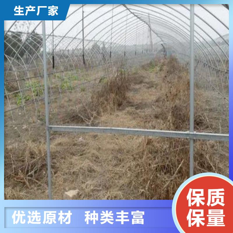 蓝田县葡萄用连体大棚钢管怎么卖同城供应商