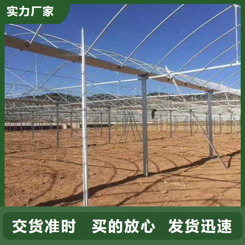 广饶县蔬菜连体温室大棚管询问报价同城生产商