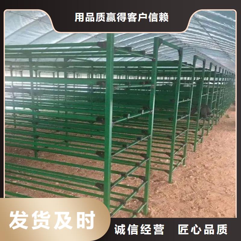 团风县农用蔬菜大棚用配件有兴趣合作同城生产商