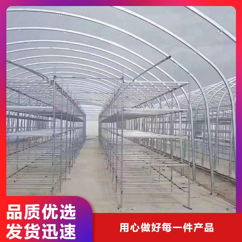 广东省广州白云区葡萄用连体大棚钢管防腐材料寿命长