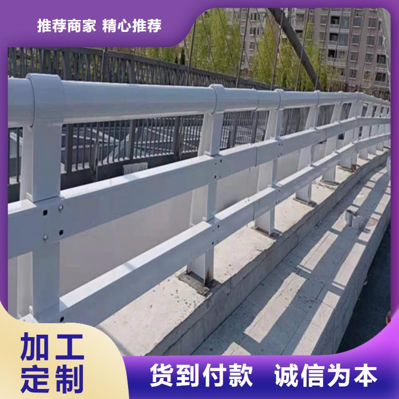 安顺支持定制的河道高架桥防护护栏供货商