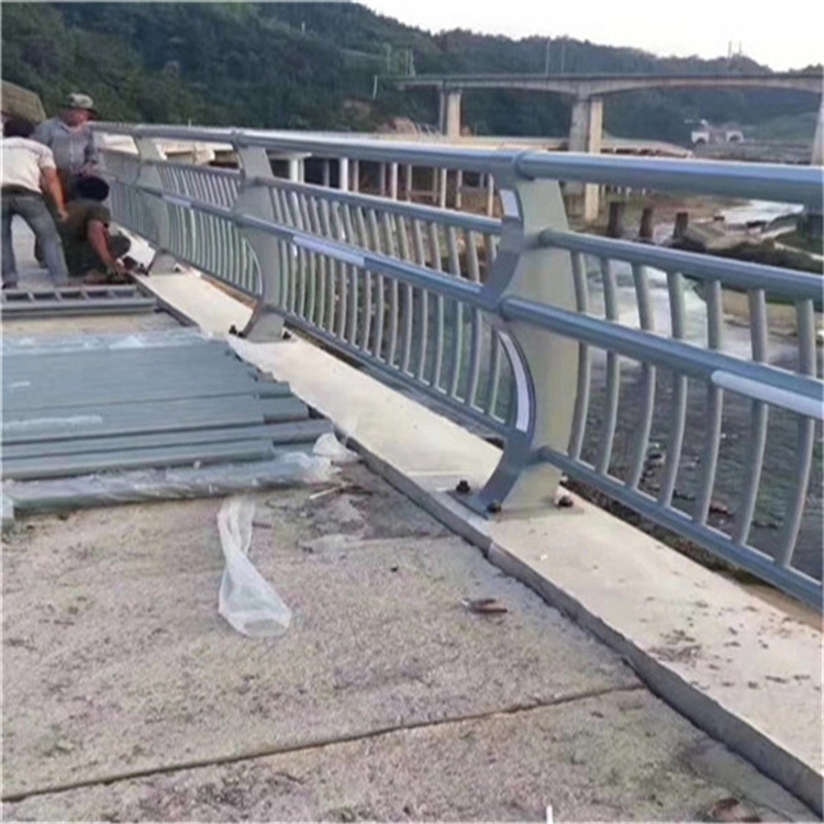 桥梁防撞钢护栏按需加工生产工厂直销