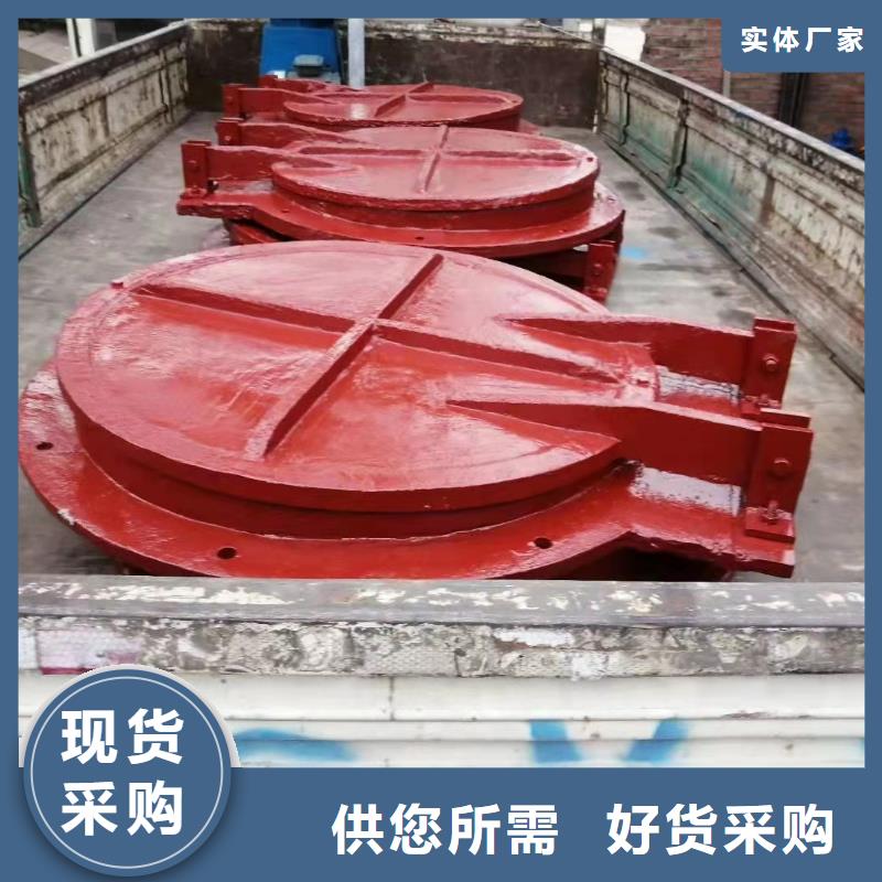 贵州泵站铸铁闸门支持定制