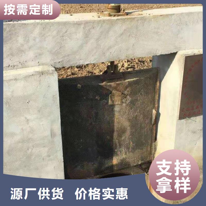 杭州双向止水闸门源头厂家
