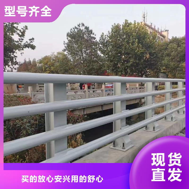 南京城市公路桥梁防撞护栏新品上市