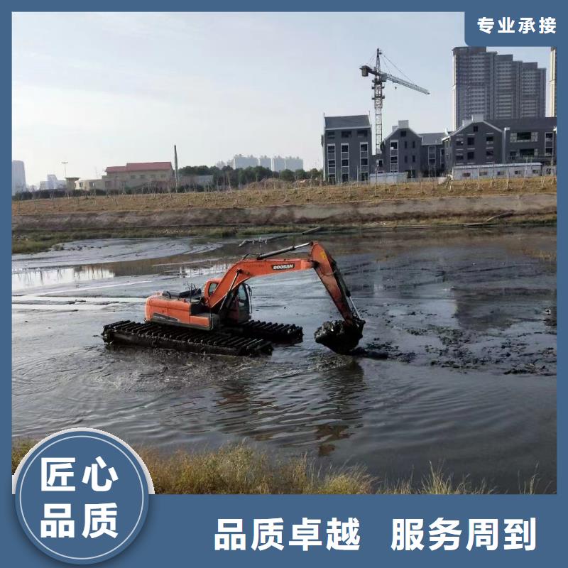 湛江服务周到的水挖机图片大全公司