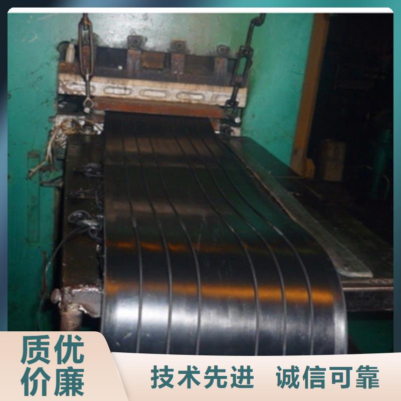 昌江县钢板橡胶止水带、钢板橡胶止水带生产厂家