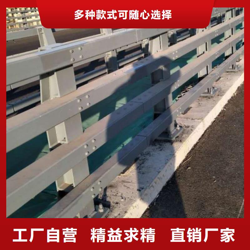 东营桥梁不锈钢护栏-接受定制