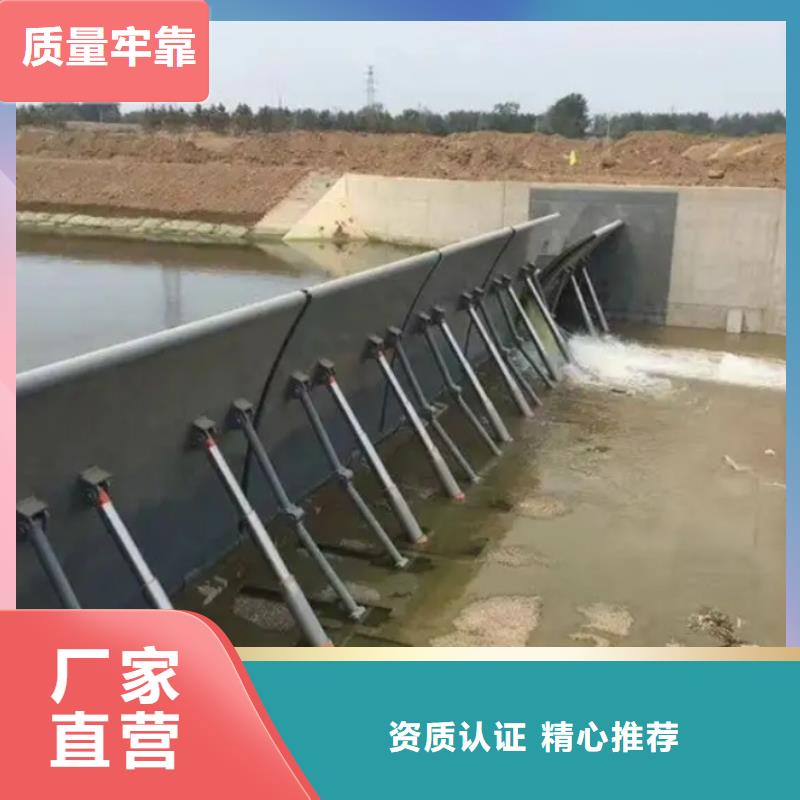 安徽芜湖水电站钢闸门正规厂家