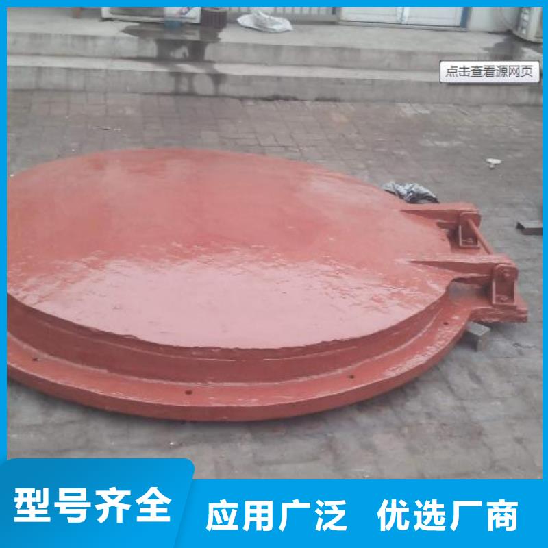 滁州全椒复合材料拍门DN600实体厂家