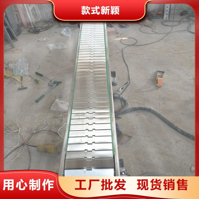 天津Chain plate conveyor 出厂价格