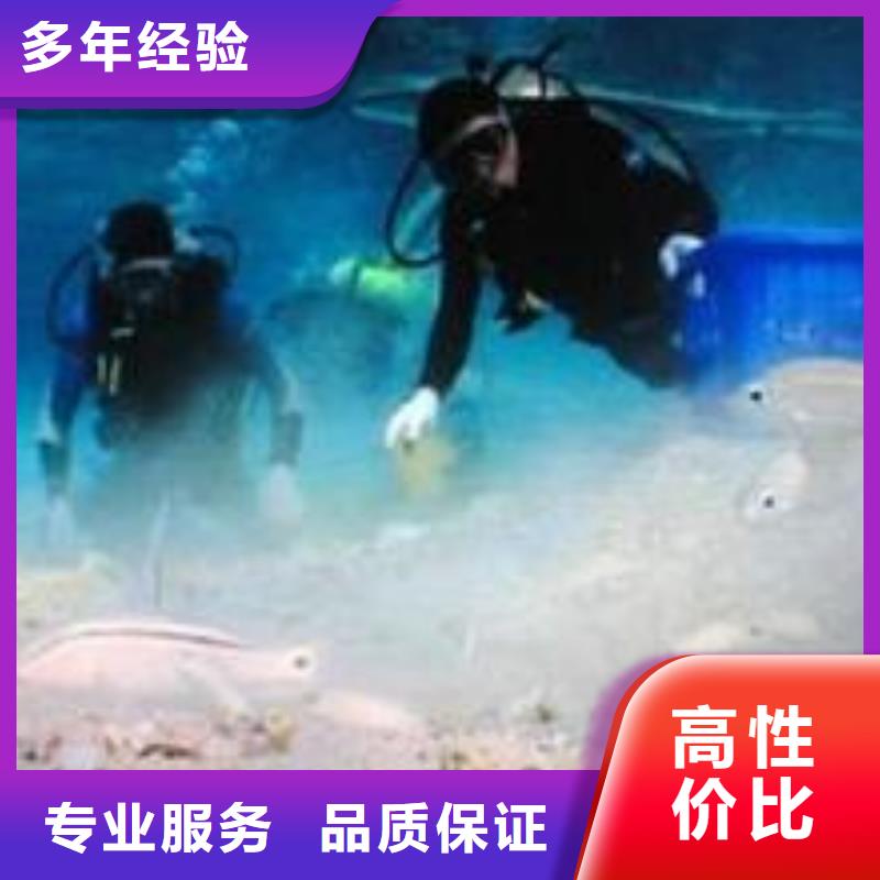 济宁市水下作业公司-蛙人潜水队伍
