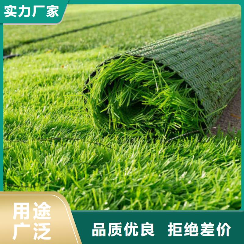 乐东县绿草地人造草坪定做专注生产N年