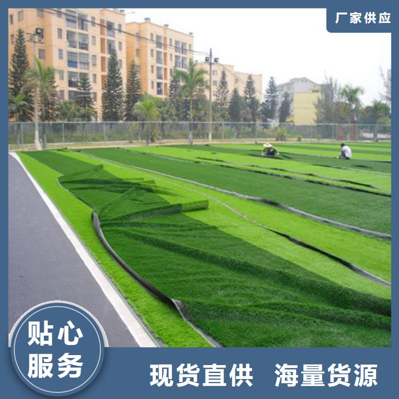 绿草地人造草坪规格材质同城服务商