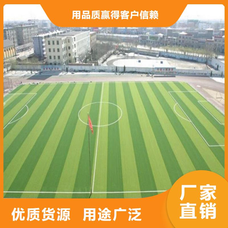 韶山足球场人造草坪来图定制实拍展现