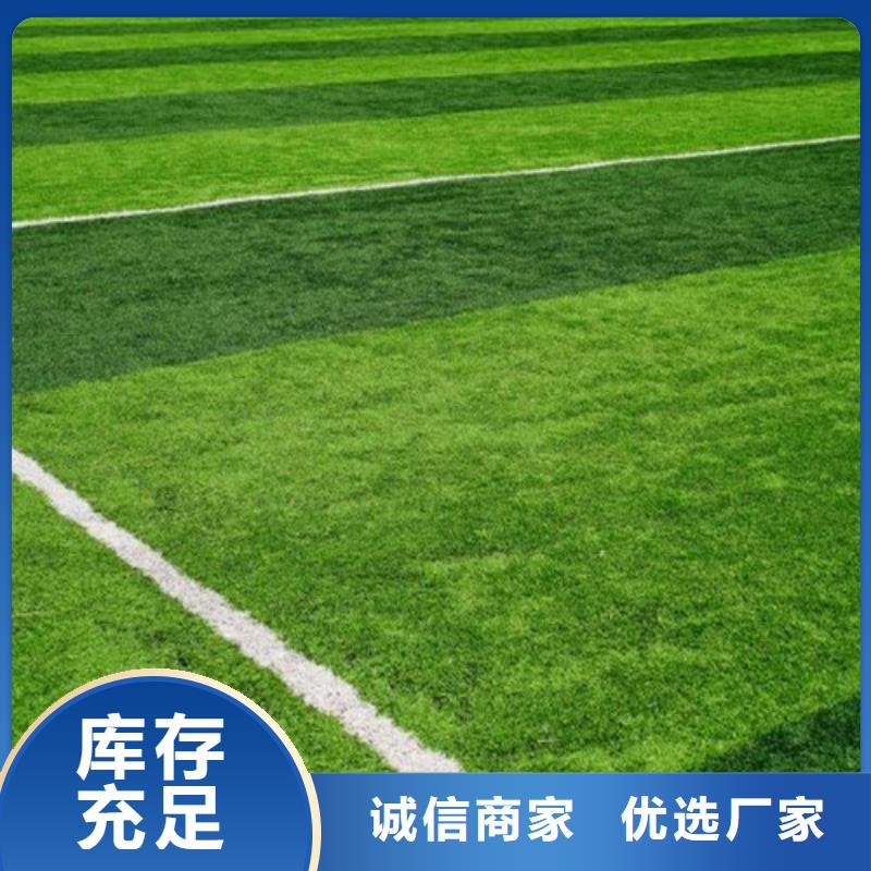 信誉好的足球场人造草坪生产厂家质量检测
