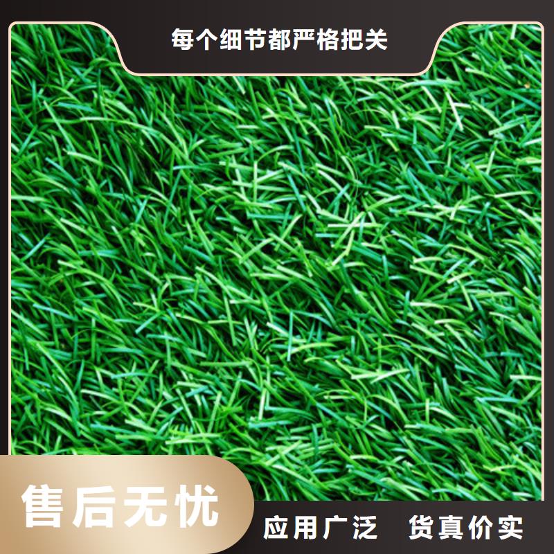 围挡草坪标准品质可靠