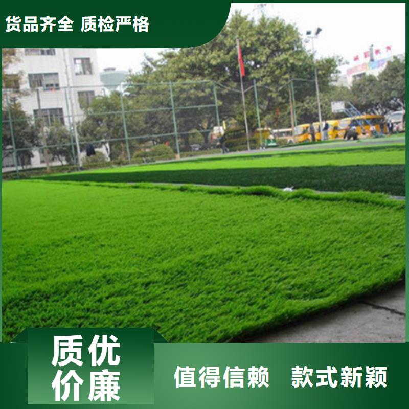 乐东县足球场人造草坪足量供应当地制造商