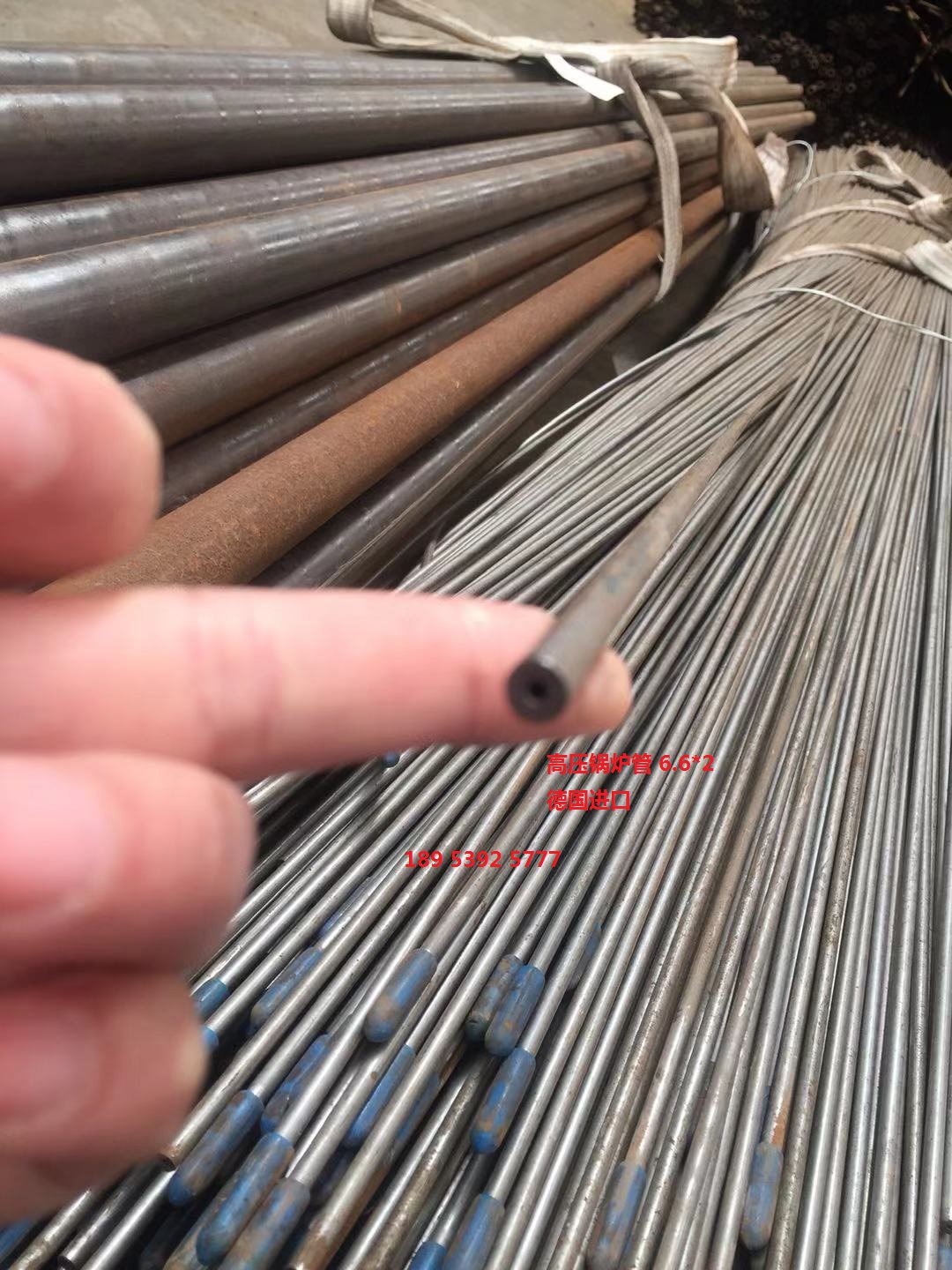 深圳10crmo910热处理工艺批发价格 推荐风华正茂钢铁