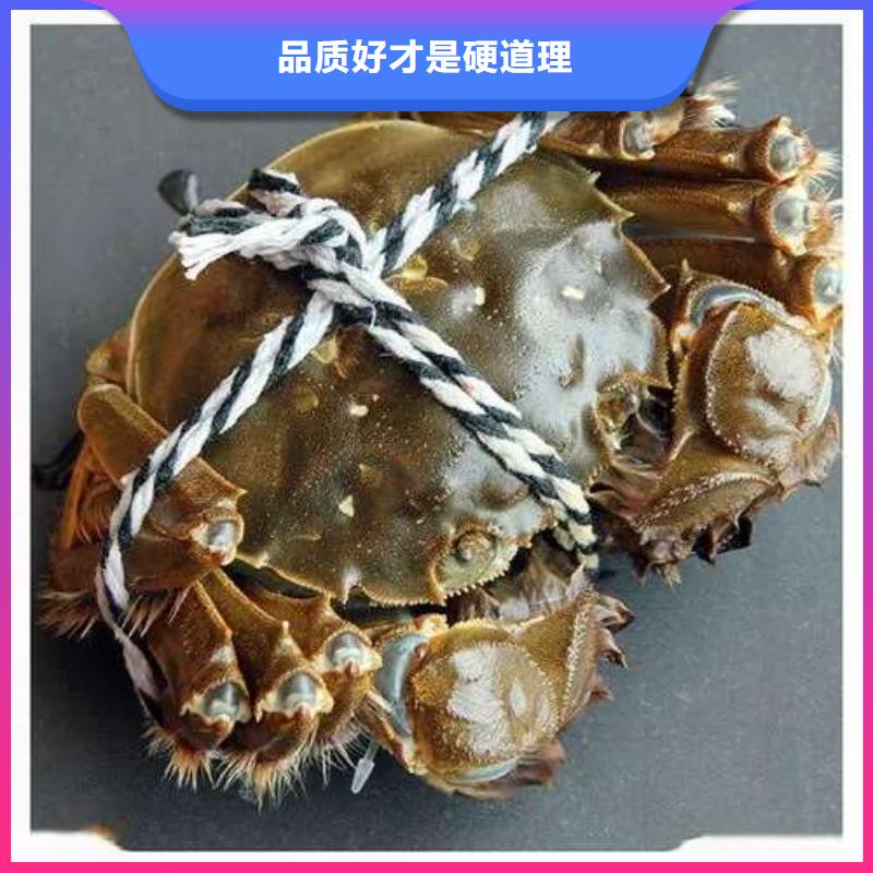 深圳市便宜的阳澄湖大闸蟹精装礼品盒