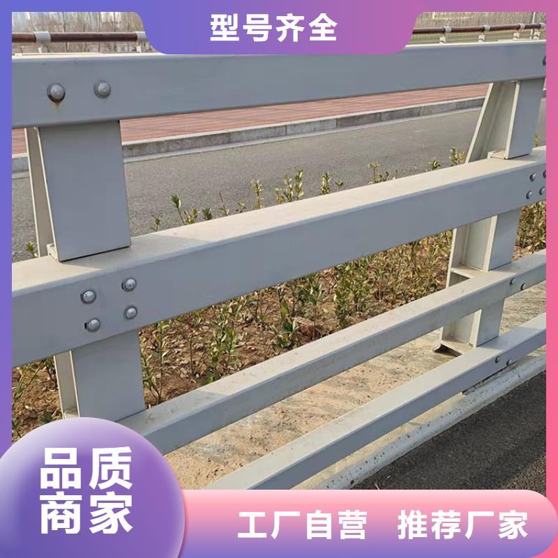 桥梁内侧防撞栏杆工艺严格产品细节