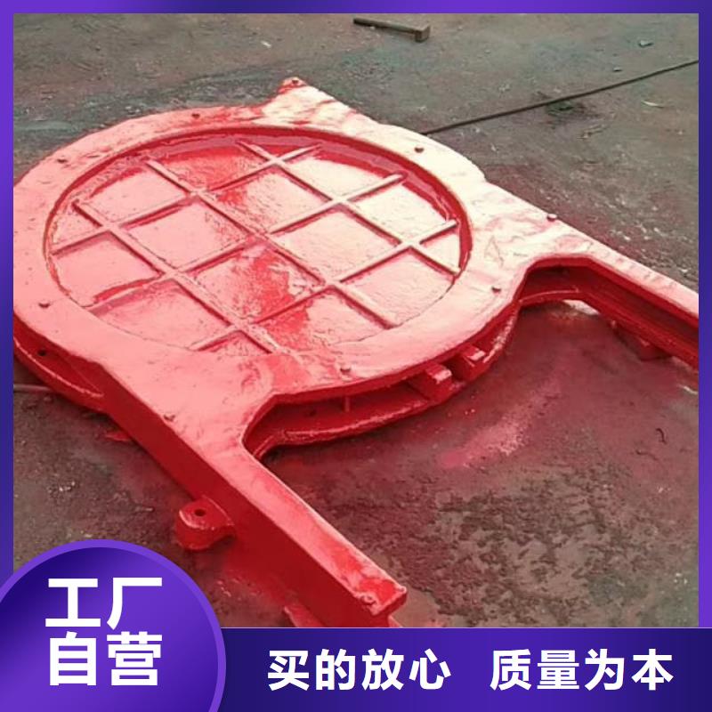南京质量可靠的闸门止水pgz闸门公司