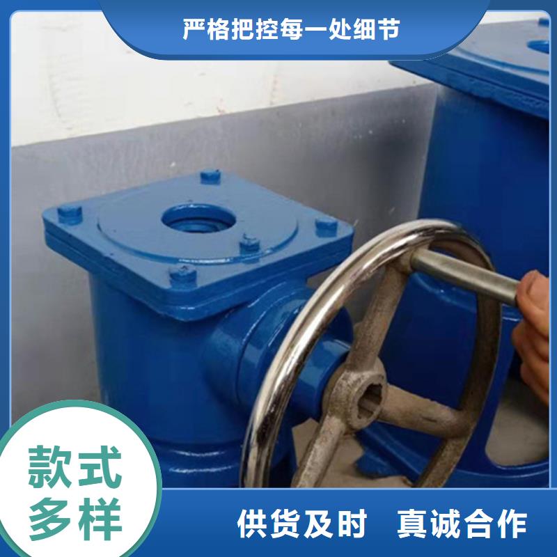 台州市温岭县手动启闭机闸门质量安全可靠