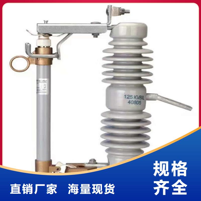 高压熔断器/RW3-10/100【浙江羿振电气有限公司】厂家拥有先进的设备